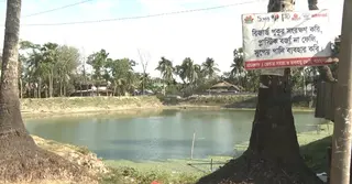 উপকূলে বাড়ছে লবণাক্ততা; সংকটে খাবার পানি ও কৃষি উৎপাদন